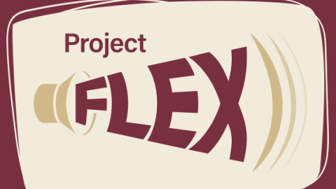 Project FLEX