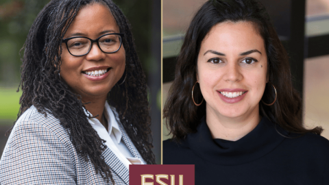 Nicole Patton Terry and Lara Perez-Felkner